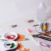 Ilustrando la naturaleza, un curso de acuarela para cientificos y no científicos. Un progetto di Illustrazione tradizionale di Aarón Estrada - 27.03.2017