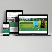 Nueva Web Fantasticopets. Un projet de Webdesign de Carlota Felipe de Francisco - 29.03.2017