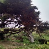 Paseo en la playa. IT project by diaz_pablo_25 - 04.04.2017
