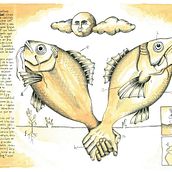 Diccionario onírico. Fine Arts, and Traditional illustration project by Sarai Aleman - 04.06.2017