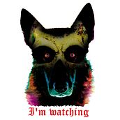 Skull Wolf. Un progetto di Street Art e Illustrazione tradizionale di Subcorp Estilo Urbano - 07.10.2016