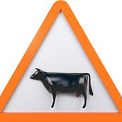Visual&Cow. Een project van Architectuur e Interieurontwerp van Dídac Sabatés Zanuy - 17.04.2017