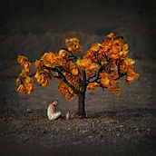 Calendario para la asociación ecologista Ben Magec- Ecologistas en Acción.. Een project van Fotografie van maryamalvarado - 01.12.2016