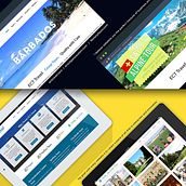 Portfolio 2016/2017. Un proyecto de Diseño gráfico, Diseño Web, Marketing y UX / UI de Anna Garcia - 20.04.2017