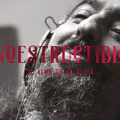 Diego El Cigala Indestructible. Un proyecto de Consultoría creativa y Diseño de Lorenzo Bennassar - 26.02.2017