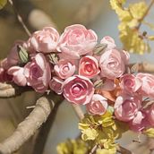 Laureana Tocados . Film, Video, TV, Desain Aksesori, Dan Video proyek oleh Carmen Higueras - 05.03.2017