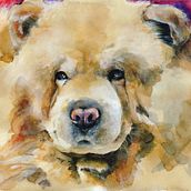 Chow Chow. Un proyecto de Ilustración tradicional de Sol Álvarez Alija - 04.05.2017