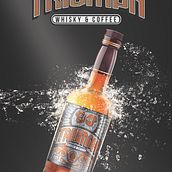 TRIUMPH. Graphic Design project by Jose Lobo - 07.20.2017