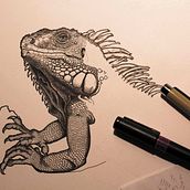 Iguana iguana. Fine Arts, and Traditional illustration project by Arturo Blasco - 05.08.2017