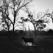 Impenetrable. Een project van Schrijven y Fotografie van Marc Canyet - 09.05.2017
