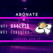 Vídeo presentación campaña 2016 Club de Baloncesto Femenino Conquero Huelva. Infographics, Marketing, Motion Graphics, Music, Photograph, Post-production, Audiovisual Production, and Video project by Eduardo Gancedo - 05.15.2016