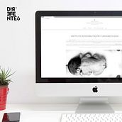 Instituto de Rehabilitación Uroginecológica. Página web con WordPress. Web Development, and Web Design project by Direfentes - 07.19.2016