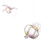 Bestiario fitometamórfico ilustrado del Dr.Chumb. Un projet de Conception de personnages et Illustration traditionnelle de domae - 30.05.2017