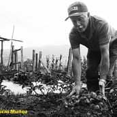 Los reales Colombianos de  bien. . Projekt z dziedziny Fotografia użytkownika Mauricio Muñoz - 16.07.2018