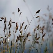 Naturaleza. Photograph project by Elia Pérez de Miguel - 06.12.2017