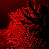 T IN THE PARK 2015. Photograph project by Matias Altbach - 07.12.2015