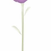 Flores de acuarela en photoshop. Ilustração vetorial projeto de Luciana Garcilazo - 13.06.2017