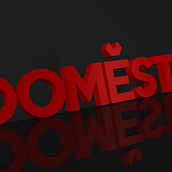 DOMESTIKA - LOGO 3D. 3D project by Sara Sintes - 05.30.2017