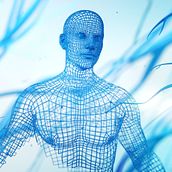 Digital Humans. 3D, Animation, Art Direction, Graphic Design, and Motion Graphics project by Melo - 06.19.2017