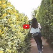 LABERINTO DE VILLAPRESENTE. Graphic Design, Music, and Video project by Cristina Rivas Cuesta - 05.20.2017