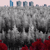 Nowy Horyzont | trailer . Un progetto di Animazione e Collage di art35mm - 21.06.2017
