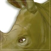 Rhino plastic. Un progetto di Illustrazione tradizionale di Marcelo Gaitan Olano - 15.06.2017