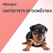 Training-dog Ein Projekt aus dem Bereich Werbung von Ángeles Jiménez - 07.07.2017