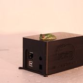 NosyStat  IoT Ethernet. 3D, Programming, Web Development, and UX / UI project by Fénix Ríos Benítez - 07.13.2015