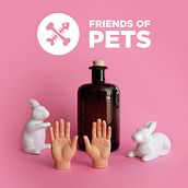 Friends of Pets poster. Graphic Design project by David Rigote - 07.24.2017