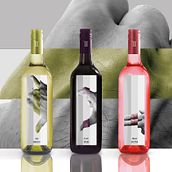 Etiquetas de para trilogía de vinos Castellroig . Pengemasan proyek oleh marc satlari - 07.25.2017