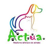 ACTÚA, Protectora de Animales (Ciudad Real, 2016). Un progetto di Design e Fotografia di Alejandro Cerro Martin - Serrano - 25.07.2016