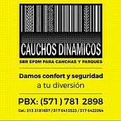 Cauchos dinámicos web. Un progetto di Web design di Mike Escobar - 02.08.2017