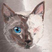 Pintura de gato. Traditional illustration project by Elisabeth García Naranjo - 08.05.2017