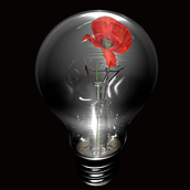 The Opium Bulb. Photo Retouching project by Patricia Martínez - 08.07.2017