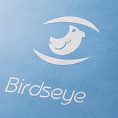 BirdsEye | Branding | Logotipo. Br, ing, Identit, Design, and Graphic Design project by Freenesi Criativa - 08.10.2017