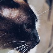 Miranda. Un proyecto de Fotografía de Jimmy Ledesma - 08.08.2017