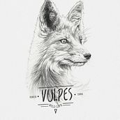 VULPES. Ilustração tradicional projeto de miguel sastre - 30.08.2017