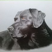 De todo un poco. Fine Arts project by Cristina Lopez Pozo - 09.02.2017