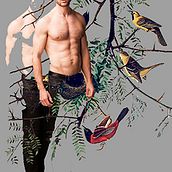 de pájaros y de hombres. Collage project by Sergio Lorenzo Arenga - 09.04.2017