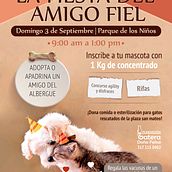 Fundación Gatera Doña Felisa. Projekt z dziedziny  Reklama użytkownika Milen Sanmiguel - 06.09.2017