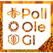 POLL OLE GI diseño de imagen gráfica y producto. Product Design, and Graphic Design project by Merce jara muns - 09.11.2017