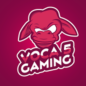 Voca 5 Gaming. Un proyecto de  de Axel Cervantes - 19.09.2017