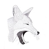 Nativos de la Patagonia. Un proyecto de Ilustración tradicional de Lucía Barrón - 01.06.2017