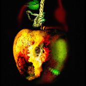 GASTRONOMIAS. Photo Retouching project by Pedro morales - 09.29.2017