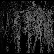 Lost Soul´s . Fine Arts, Film, Film, Video, TV, Art Direction, and Video project by Adrian Vallesa - 10.02.2017