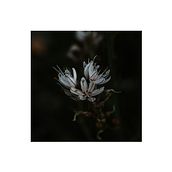 Mi Proyecto del curso: Revelado de archivos RAW con Lightroom. Photograph project by David Tudela - 04.16.2018