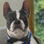 Reel de animación de personajes 3d. Un proyecto de 3D, Animación y Animación de personajes de Nicolás Broner - 04.10.2017