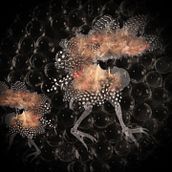 Revivar. Un projet de Animation, Beaux Arts, Stop motion , et Vidéo de Lilian Salazar - 04.10.2017