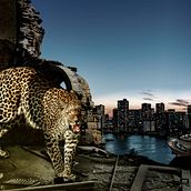 Mi Proyecto del curso: Secretos del fotomontaje y el retoque creativo. Design projeto de Chaoyue Song - 05.10.2017