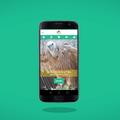 Zoo App. Animation project by Rodrigo Vigo - 08.10.2017